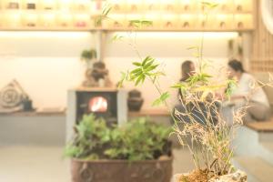桂林Zen Tea House Elephant Trunk Hill Park船舍茶椐象山店的相册照片
