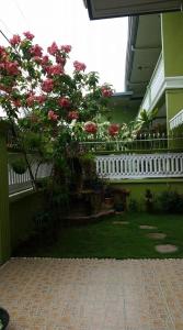 a balcony with a tree with pink flowers on it at Magdalene Apartment in Balamban