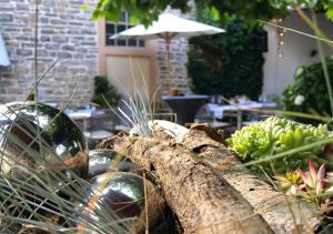 a bunch of plants are sitting in a garden at Der Grüne Baum in Sinsheim