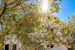 a building with the sun shining through trees at Villas Rab Palit in Rab