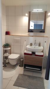uma casa de banho com um lavatório, um WC e um espelho. em Appartement Unterbergblick em Kössen
