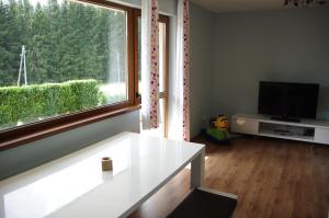 TV a/nebo společenská místnost v ubytování Ferienwohnung " MILA" in Schwarzwald near Titisee