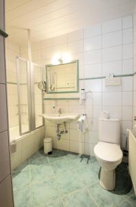 a bathroom with a toilet and a sink at Hotel Kogler in Bad Mitterndorf