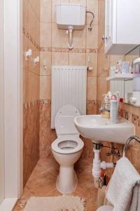małą łazienkę z toaletą i umywalką w obiekcie Arany Csillag Apartman w Egerze +11 zdjęć