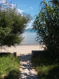 Príroda v okolí apartmánu