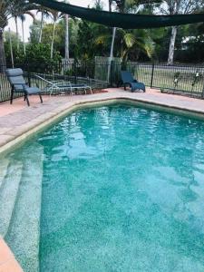 uma grande piscina azul com duas cadeiras em Agnes Palms Accommodation em Agnes Water