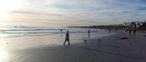 a person walking on the beach with two dogs at 180 Eden on the Bay, Big Bay in Big Bay