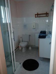 a bathroom with a toilet and a sink and a shower at le rond gardien in Isle-et-Bardais