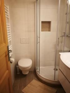 a white bathroom with a toilet and a shower at Počitniška hiša Ukanc in Bohinj