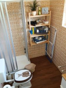 ブラウンラーゲにあるNelsonのシャワーとトイレ付きの小さなバスルーム