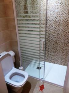 ア・コルーニャにあるAPARTAMENTO NUEVO EN CENTRO HISTORICO A CORUÑAのバスルーム(トイレ、ガラス張りのシャワー付)