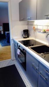 een keuken met een fornuis en een wastafel bij Apartment Blue Regensburg in Regensburg