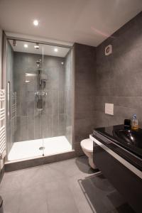 ein Bad mit einer Dusche, einem WC und einem Waschbecken in der Unterkunft Mintaka Apartment - Chamonix in Chamonix-Mont-Blanc