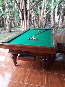 a green pool table with balls on it at Finca Hotel La Cuyabrita in Pueblo Tapao