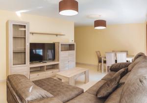 a living room with a couch and a television at APARTAMENTOS CASAS NOVAS in Silleda