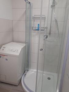 ビーティッヒハイム・ビッシンゲンにあるExclusive Apartmentsのトイレの隣にガラスドア付きのシャワーが備わります。