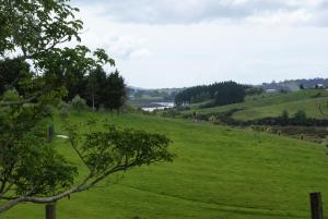 Gallery image of Creek Retreat in Warkworth