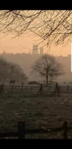 un campo de niebla con una valla y un árbol en Lincoln lets 23, en Lincoln