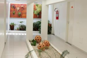 Fotografie z fotogalerie ubytování Hotel Encantos de Penedo Alagoas v destinaci Penedo