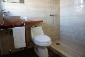 科伊艾科Hostal Casa Arrayán的配有白色马桶和水槽的浴室
