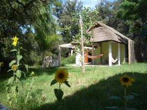 a house in a field with flowers in the yard at El Quincho in San Luis