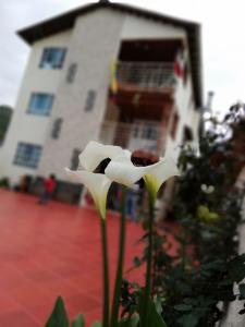 酒店所在大楼