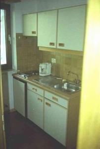 uma cozinha com um lavatório e uma bancada em Appartements Oberpefohl em Parcines