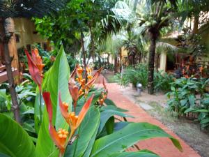 a plant with orange flowers in a garden at Free Beach Resort in Phú Quốc