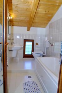 a bathroom with a toilet and a tub and a sink at Pensiunea Pestisorul in Dunavăţu de Jos