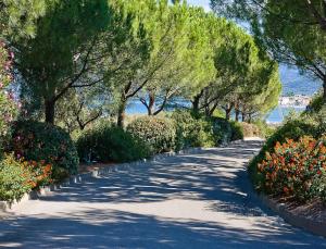 a tree lined road with flowers and trees at Résidence Suarella in Saint-Florent