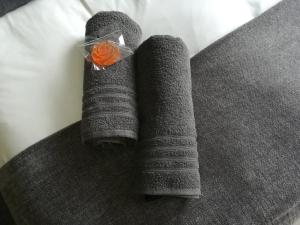 two towels sitting on top of a couch at Apartment in Heather Park in George