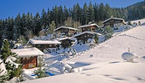 ein schneebedecktes Dorf mit Bäumen und Gebäuden in der Unterkunft Ferienhäuser Reither Almen in Reith im Alpbachtal