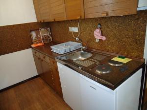 サヴドリアにあるStudio Apartment Carliのシンクとコンロのある小さなキッチン +10枚の写真