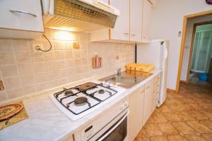 Kuchyňa alebo kuchynka v ubytovaní Apartment Cirila