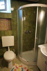 ein Bad mit einer Dusche, einem WC und einem Waschbecken in der Unterkunft Apartment Vilma 2 in Bašanija