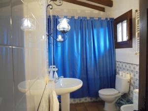 a bathroom with a blue shower curtain and a toilet at Casa Rural La Central-Peñagorda in El Barco de Ávila