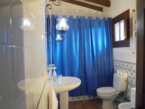 エル・バルコ・デ・アビラにあるCasa Rural La Central-Peñagordaのバスルーム(青いシャワーカーテン、トイレ付)