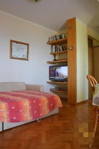 TV a/nebo společenská místnost v ubytování Apartment in Preko with sea view, terrace, air conditioning, Wi-Fi (4574-1)