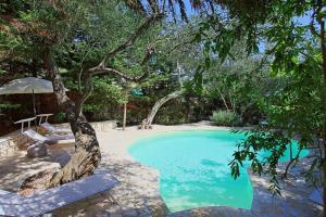 a swimming pool with a chair and a tree at Lili Luxury Cottage in Gaios