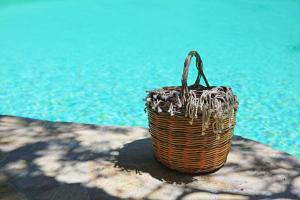 a basket sitting on a rock next to a pool at Lili Luxury Cottage in Gaios