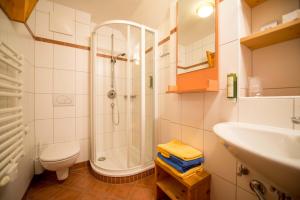 a bathroom with a shower and a toilet and a sink at Almhotel Fichtenheim in Berg im Drautal