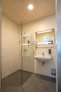 La salle de bains est pourvue d'une douche en verre et d'un lavabo. dans l'établissement Hotel Holzscheiter, à Lottstetten