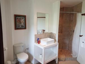 a bathroom with a toilet and a sink and a shower at Victorskloof Lodge in Hout Bay