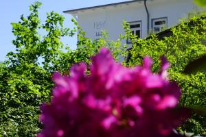 Zahrada ubytování Hotel Waldperle