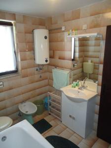 a bathroom with a sink and a toilet at Apartment Marko in Crveni Vrh