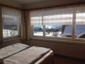 - une chambre avec un lit et deux fenêtres enneigées dans l'établissement Ferienwohnung Sonnschein, à Bad Mitterndorf