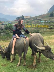 a woman riding on the back of a cow at ChienDe Homestay in Sa Pa