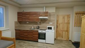 Il comprend une cuisine équipée d'une cuisinière blanche et d'un four micro-ondes. dans l'établissement Apartmán Žamberk, à Žamberk