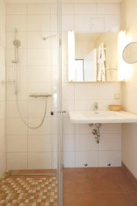 a bathroom with a shower and a sink at Fährmannhaus in Bad Schandau