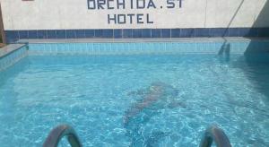 Πισίνα στο ή κοντά στο Orchida St. George Hotel